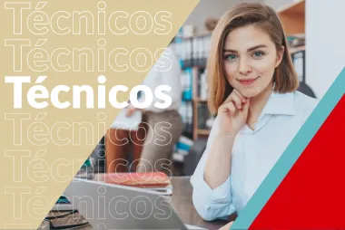 T&eacute;cnicos